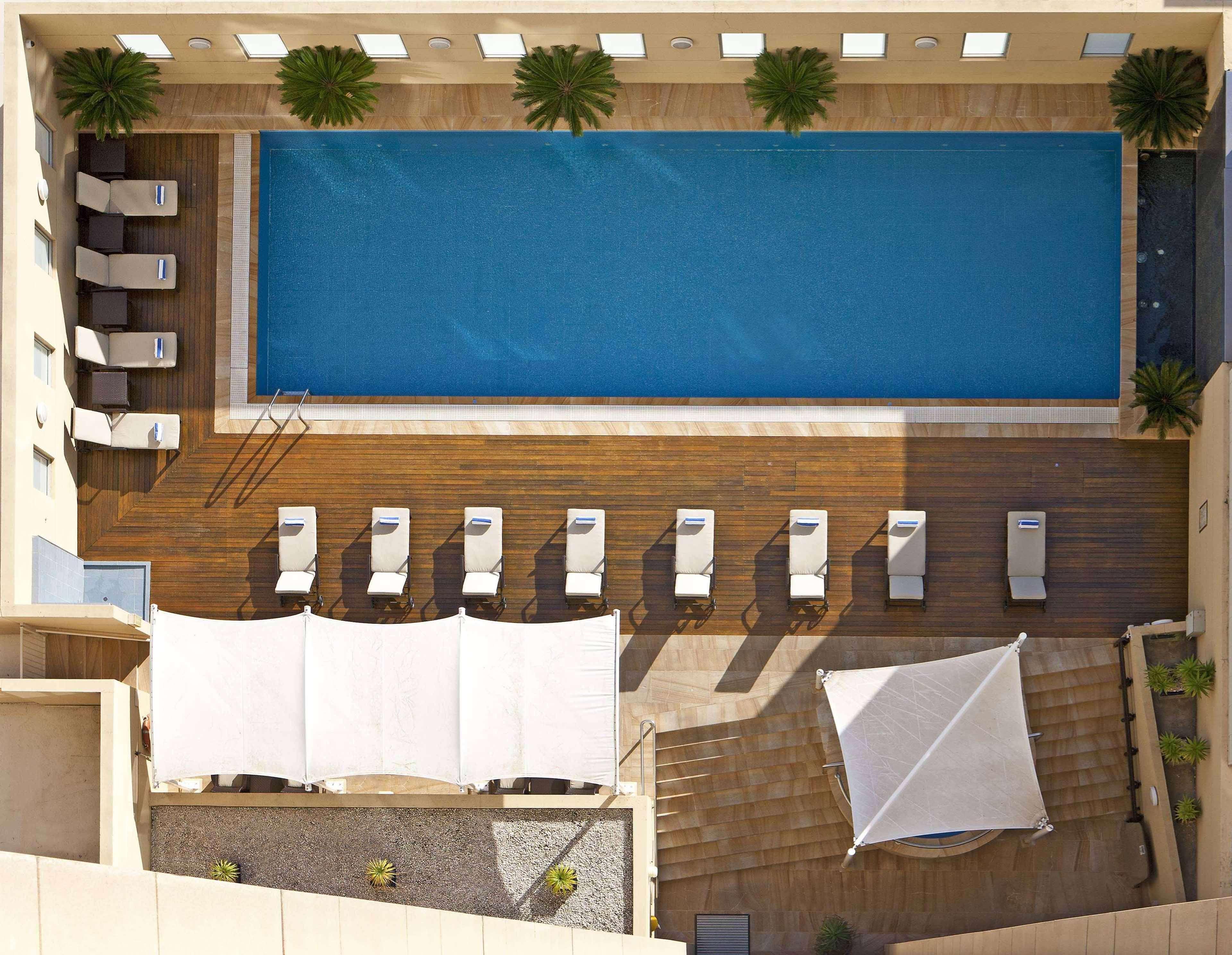 Swissotel Sydney Esterno foto The pool at the hotel